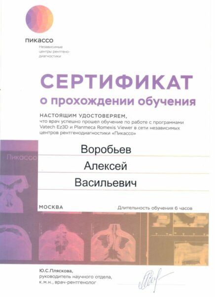 Сертификат Воробьева А.В.